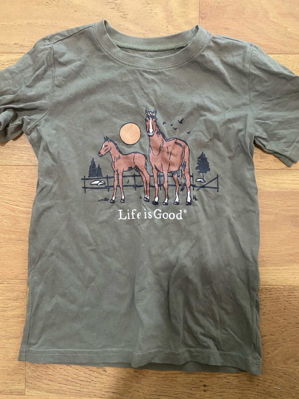 Life is Good Kids' Olive Cotton Horse Graphic Crusher Tee size M EUC